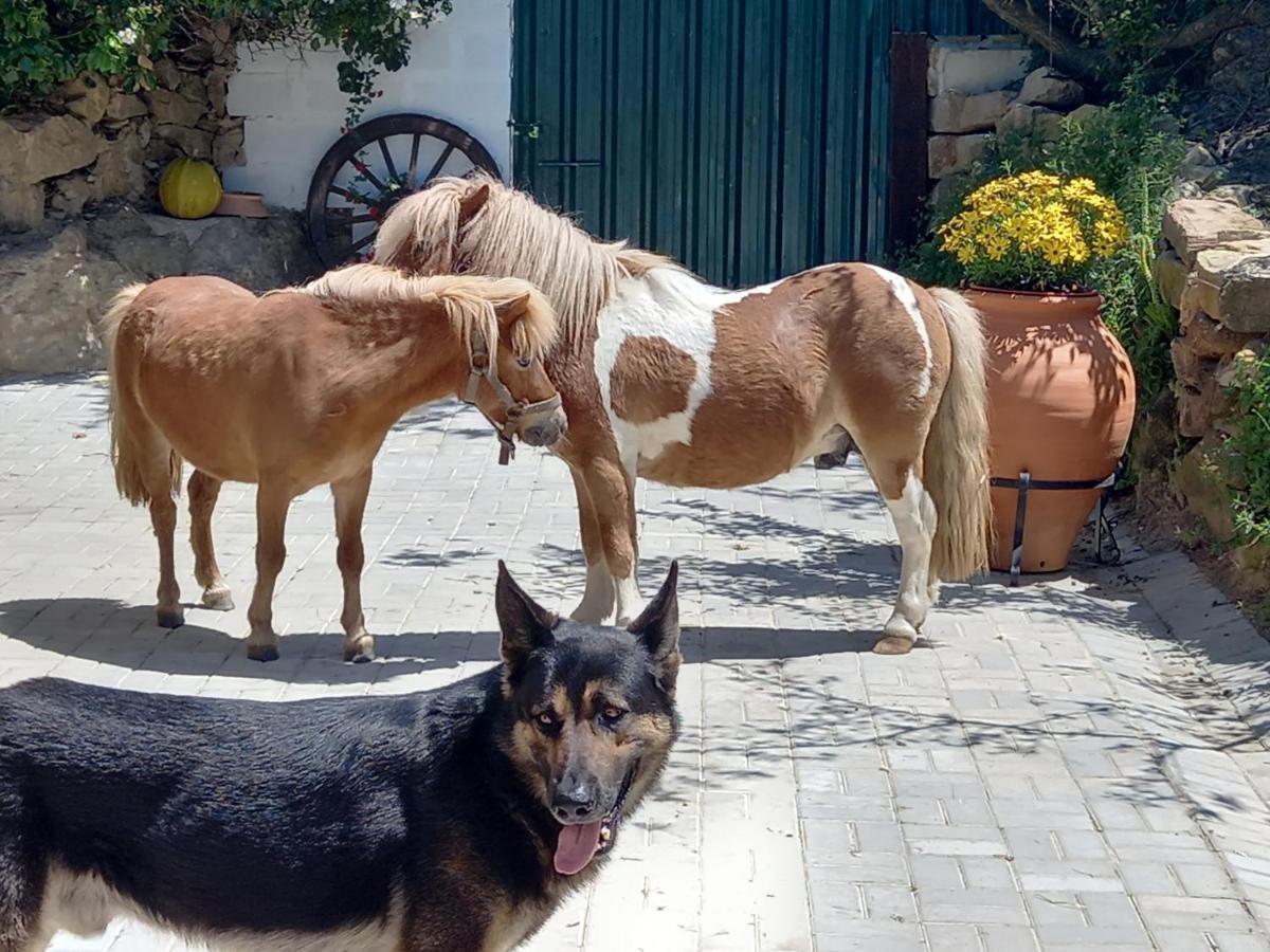 Casinha De Ferias No Campo - Quintinha Dos Cavalos - Arruda Dos Vinhos Sabugos Exterior photo